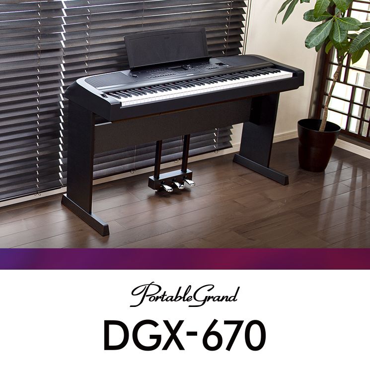 DGX-670